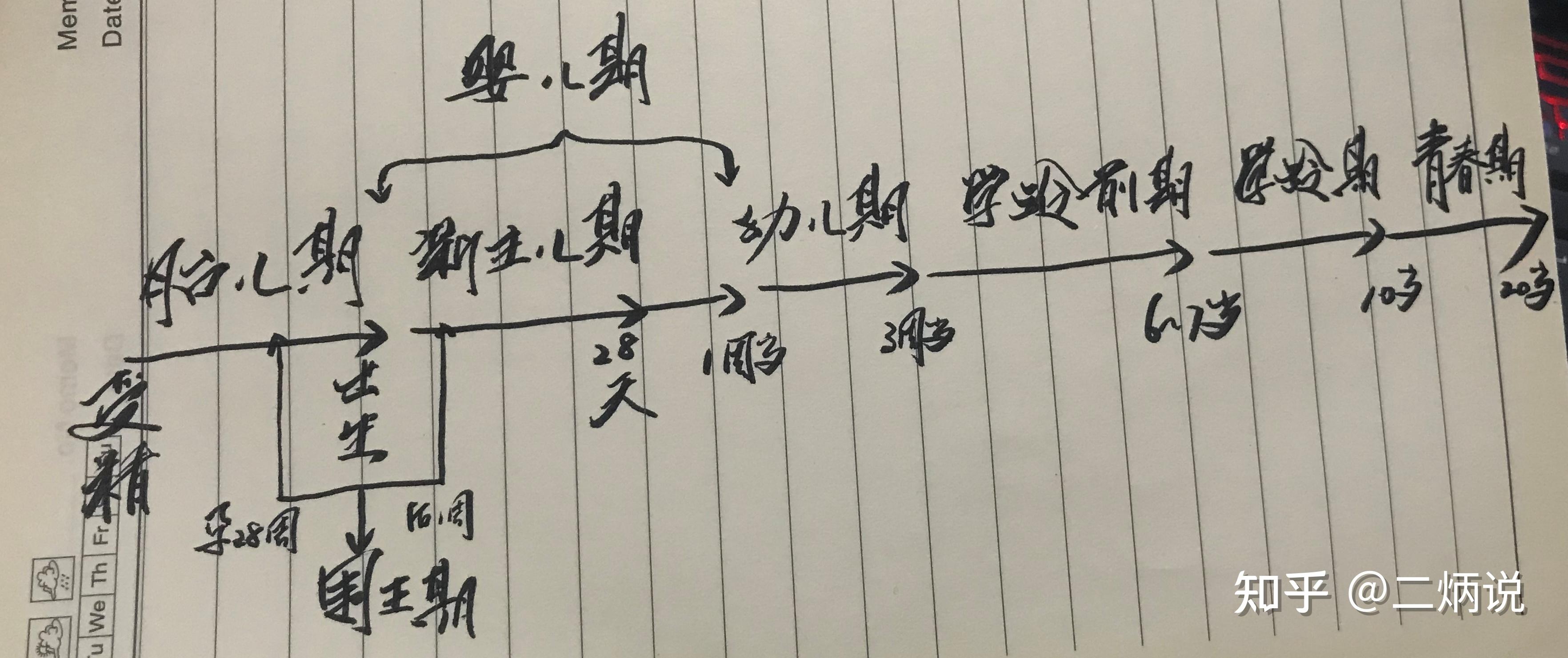 儿童年龄分期及特点