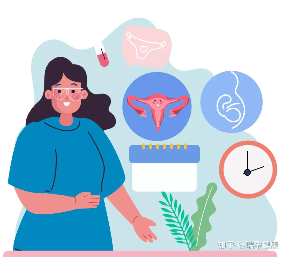 备孕需要提前多久做准备？高龄备孕吃什么补卵巢？插图