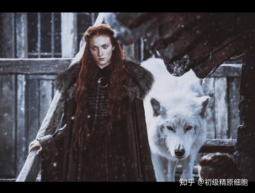 珊莎的游戏权力的游戏最终女王