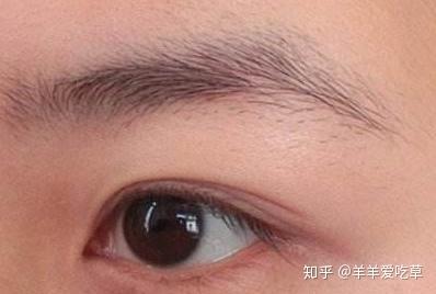 植眉后生长周期要多久 北京海淀区的种植眉毛手术怎么样 知乎