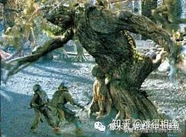 树人恩特三两事 - 知乎