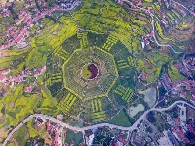 全方位呈现掘金队NBA赛季高光时刻