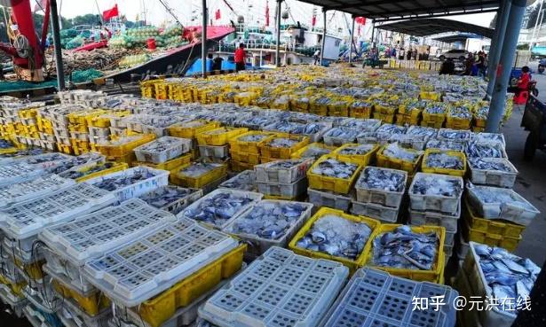 海南贸易市场的风云变幻：雹贸易的崛起