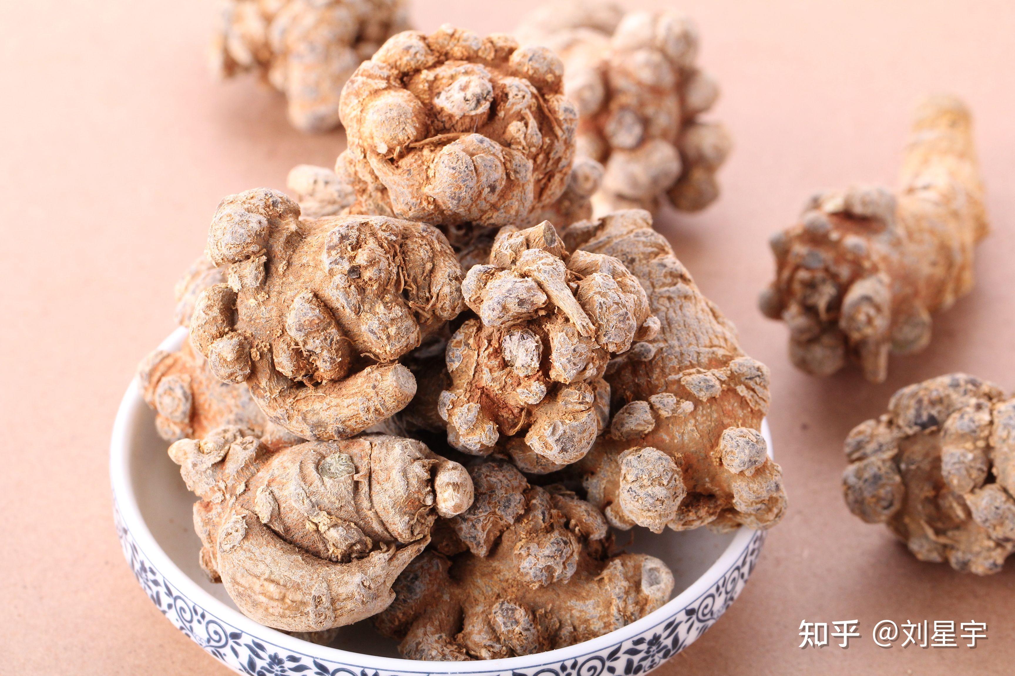 三七的功效与作用 三七的食用方法及禁忌 - 知乎
