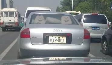 v2-a4ef05e95d77bd93794911918ef6f932_b.jpg
