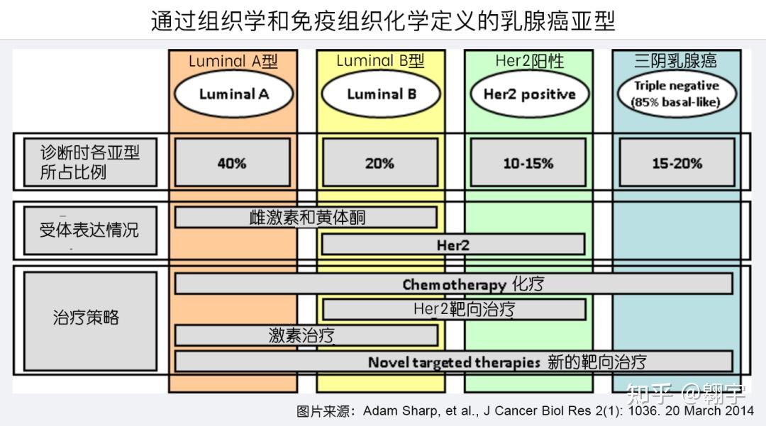 君臨天下阿貝西利聯合內分泌治療中國早期乳腺癌患者術後復發風險大幅