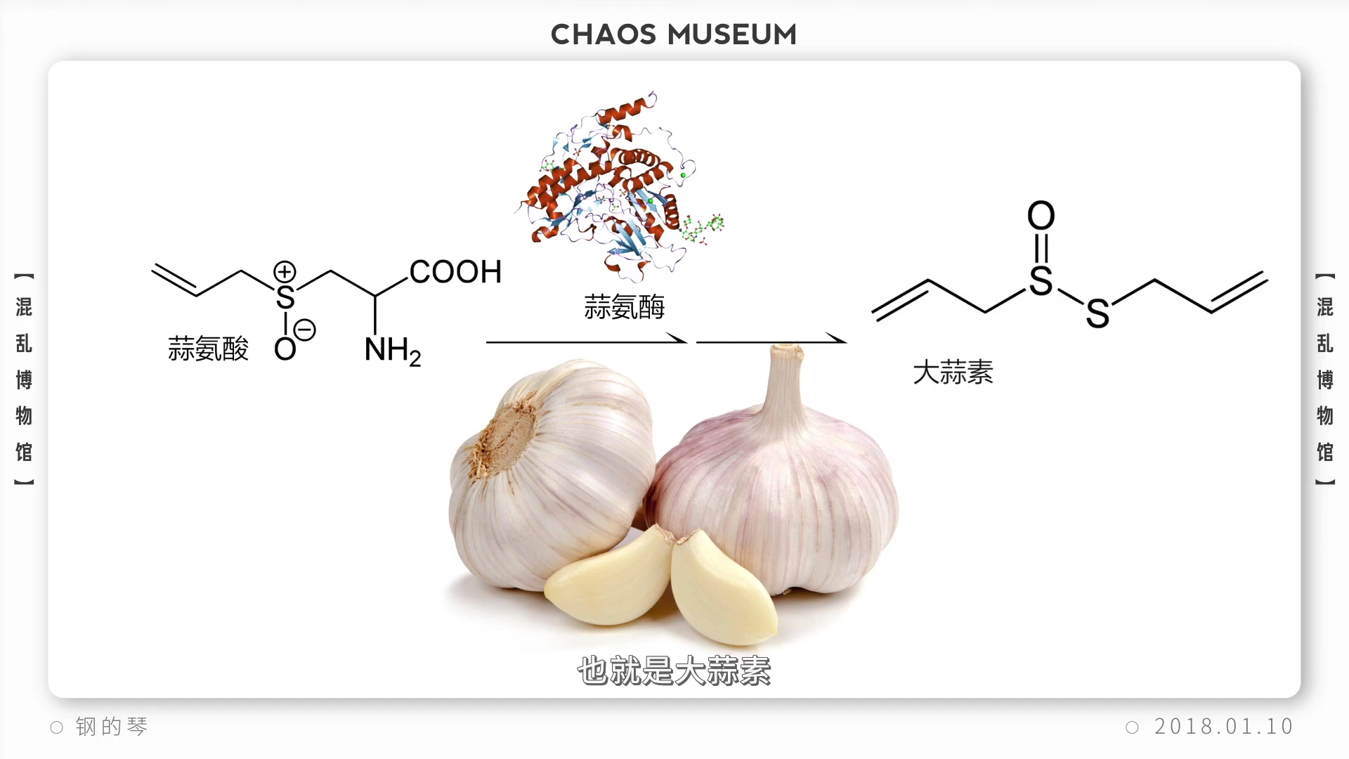 大蒜素能不可逆地与人体消化…  显示全部