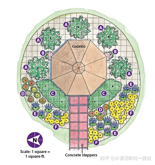 花境植物配置平立面手绘解析