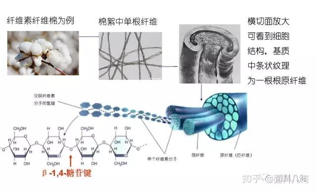 从这里认识面料的品性-纤维结构 - 知乎