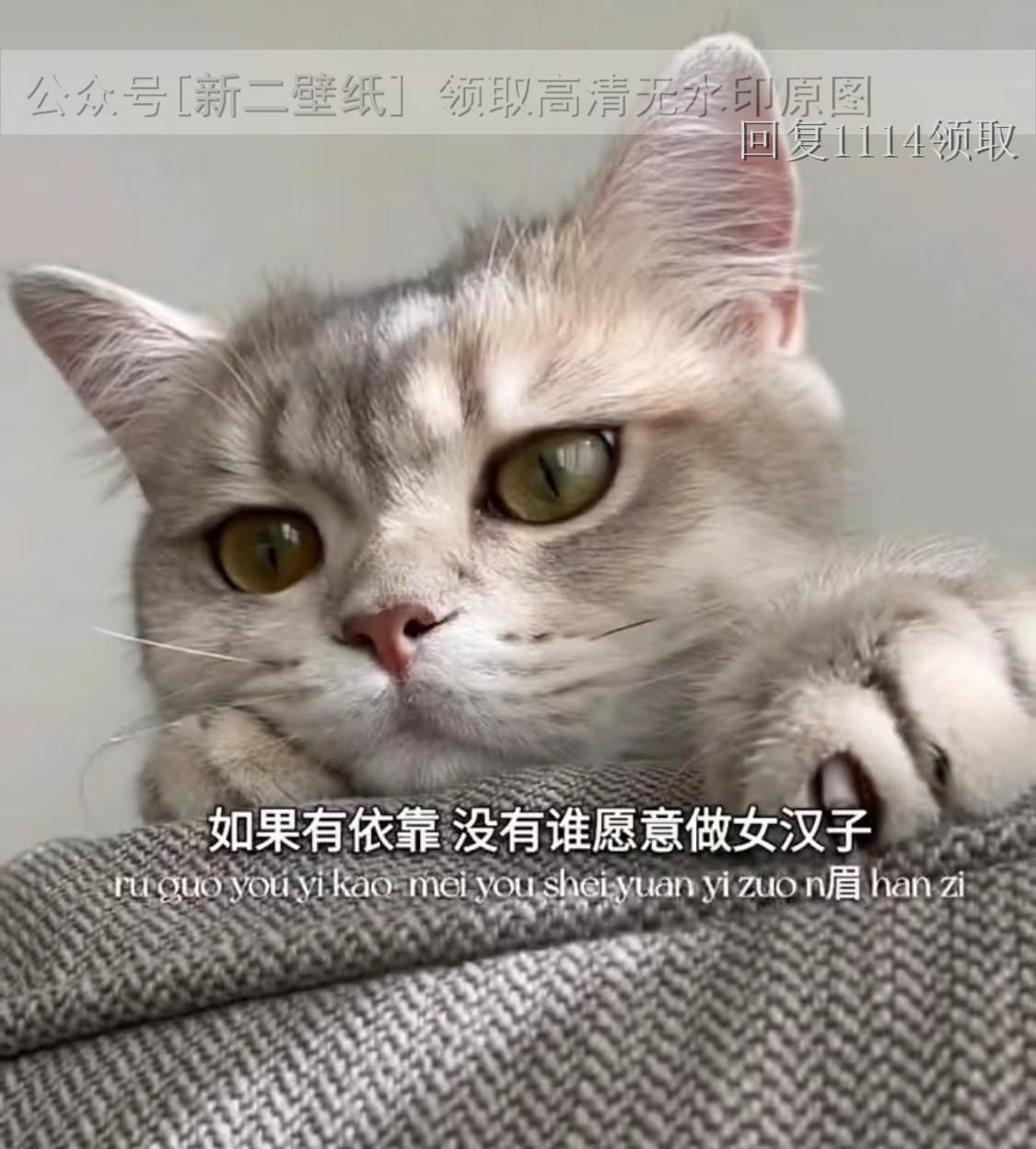 如果有依靠没有谁愿意做女汉子图片背景图壁纸原图高清抖音热门朋友圈