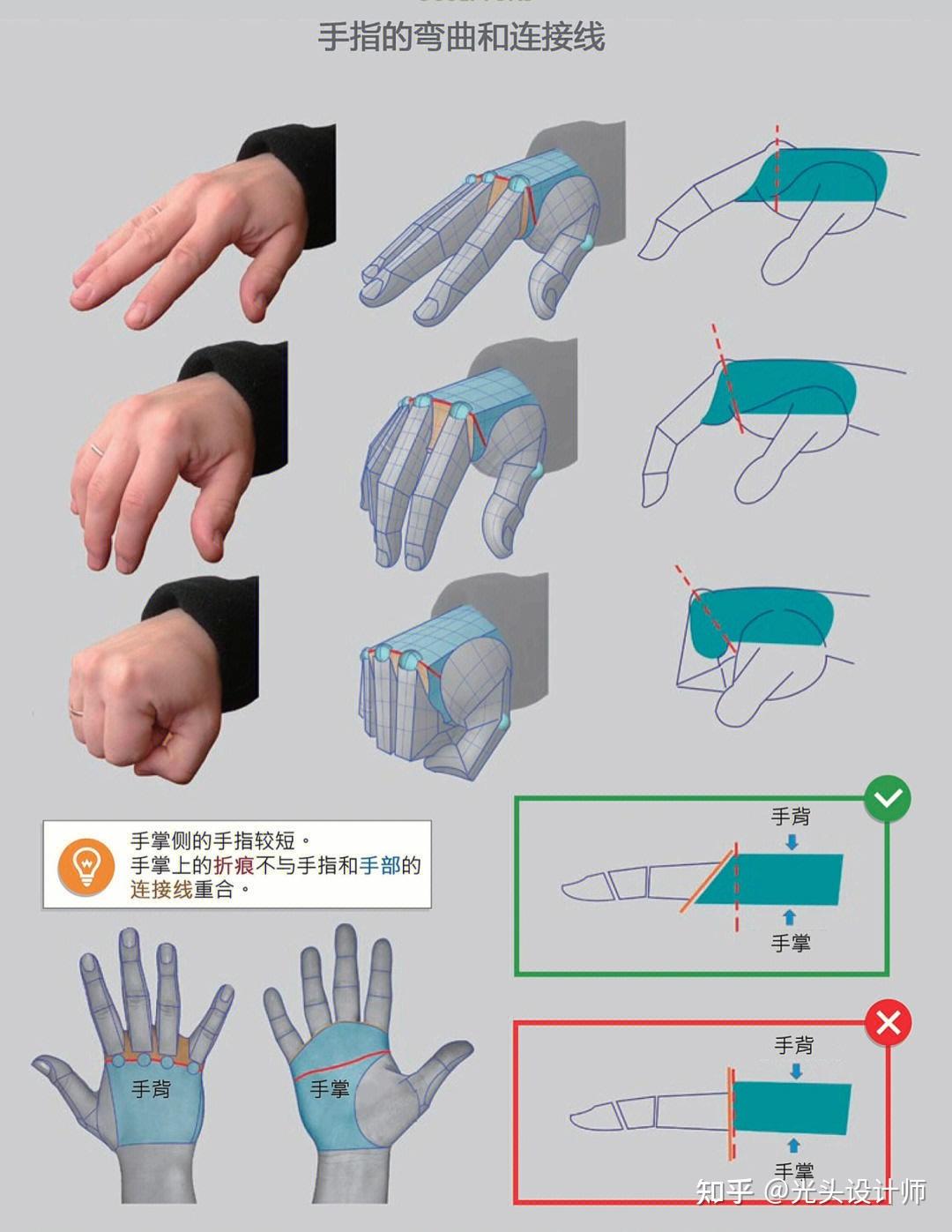 手部建模如何布线?1分钟快速理解手部结构 - 知乎