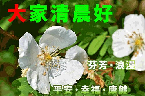 2022最新版清晨问候早上好漂亮表情图片 早上好问候语美丽句子