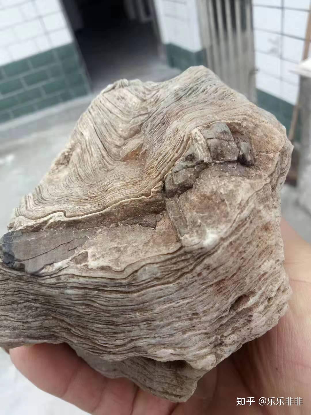 老爸在山里捡得石头，麻烦大神看看值钱吗？ - 知乎