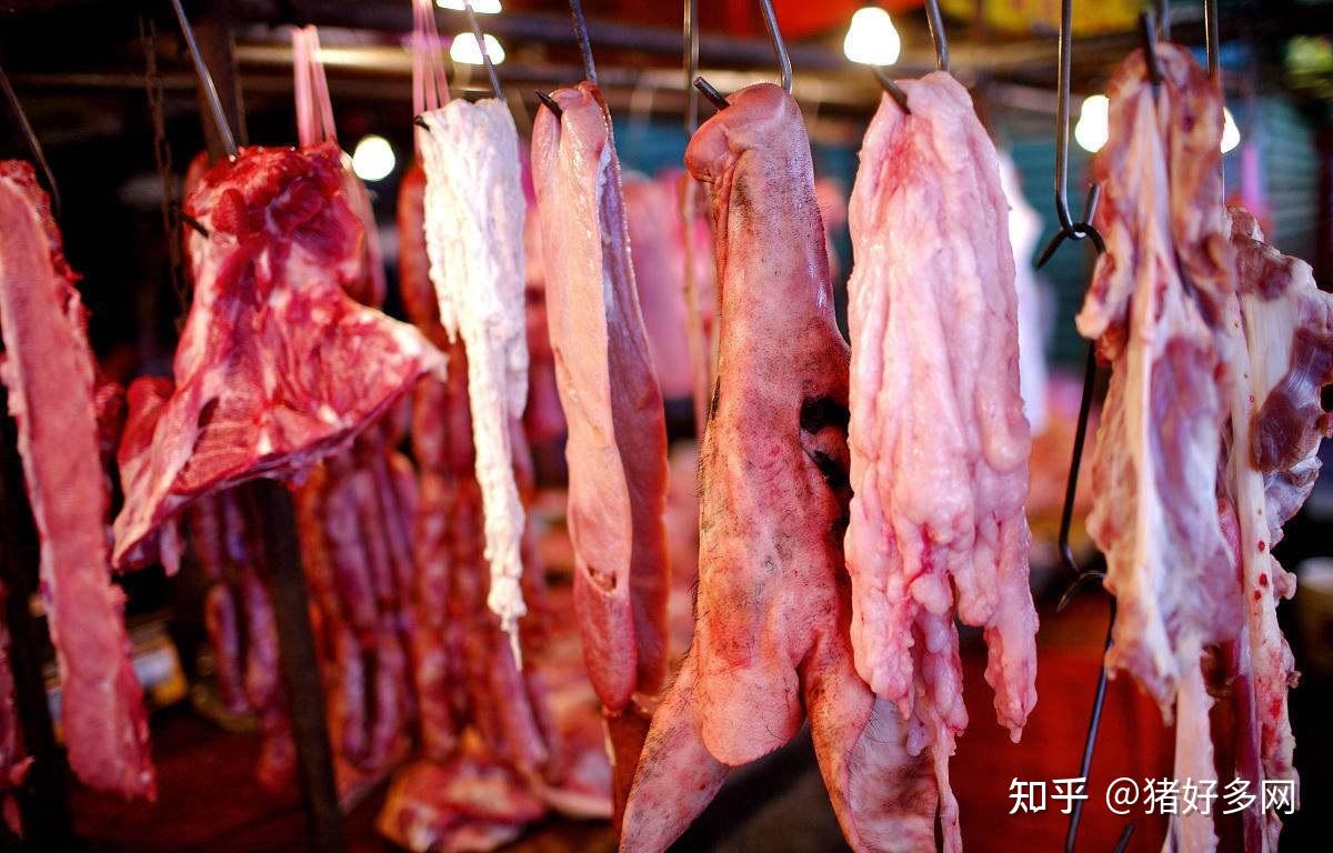 猪肉为什么会下跌
