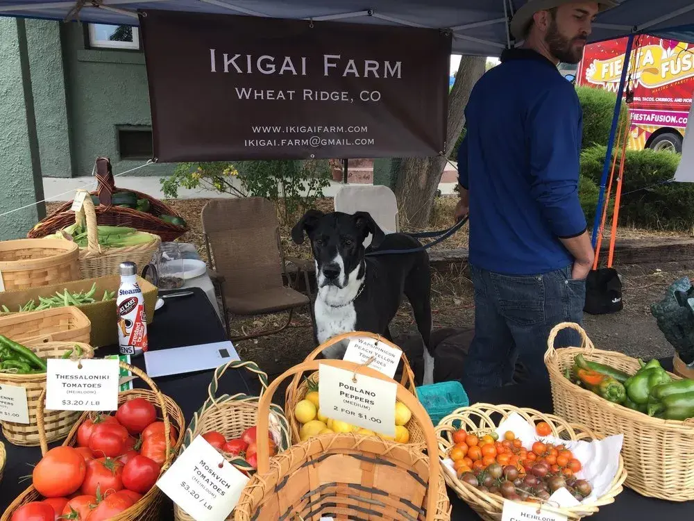 在这里,你可以去 moringa infusions 品尝 puckery apple-cider-based