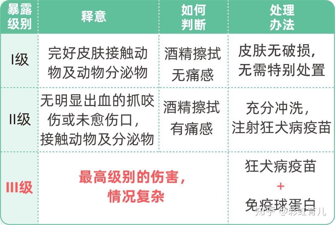 突發監控下惡犬撲咬11月大男嬰狂犬病疫苗的真相究竟是