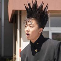 piggy电气工程/智能控制/本科生