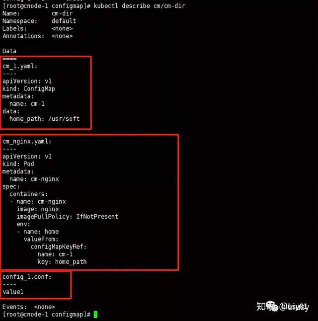 k8s之深入解剖Pod（二）