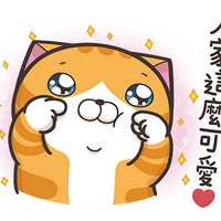白烂猫