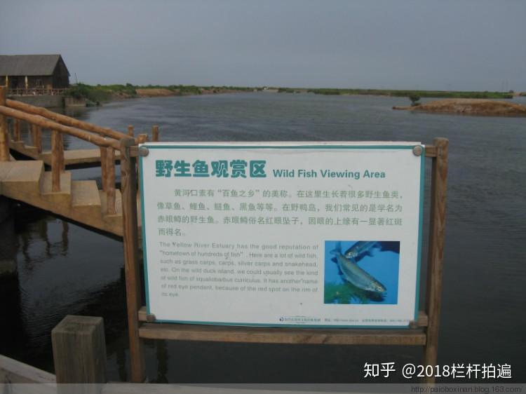 东营黄河入海口湿地公园