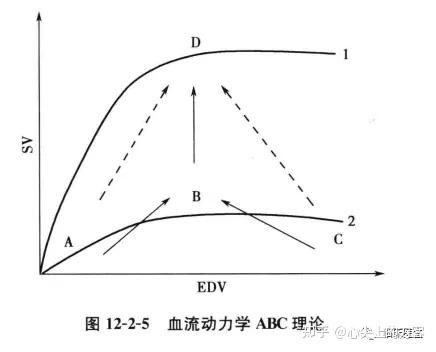 血流动力学基础图解 - 知乎