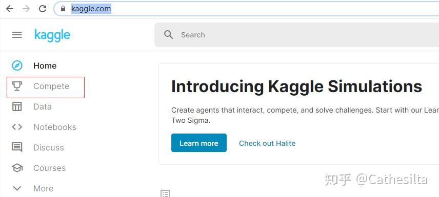 Kaggle Interface Kaggle比赛快速上手演示 - 知乎