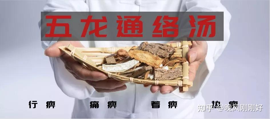 产生痹症的原因，痹症病因病机，中医对痹症的辩证，痹症的治疗 - 知乎