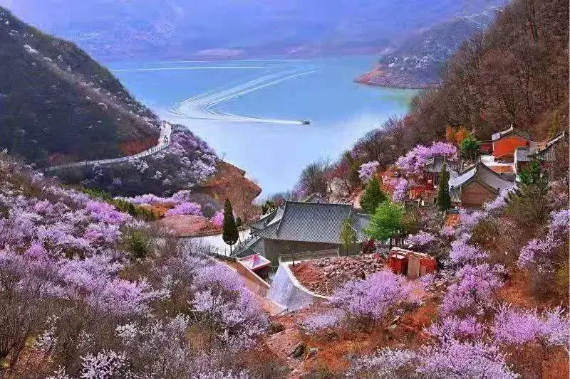 致敬白衣天使平凉市10家a级旅游景区向全国医务工作者免费开放