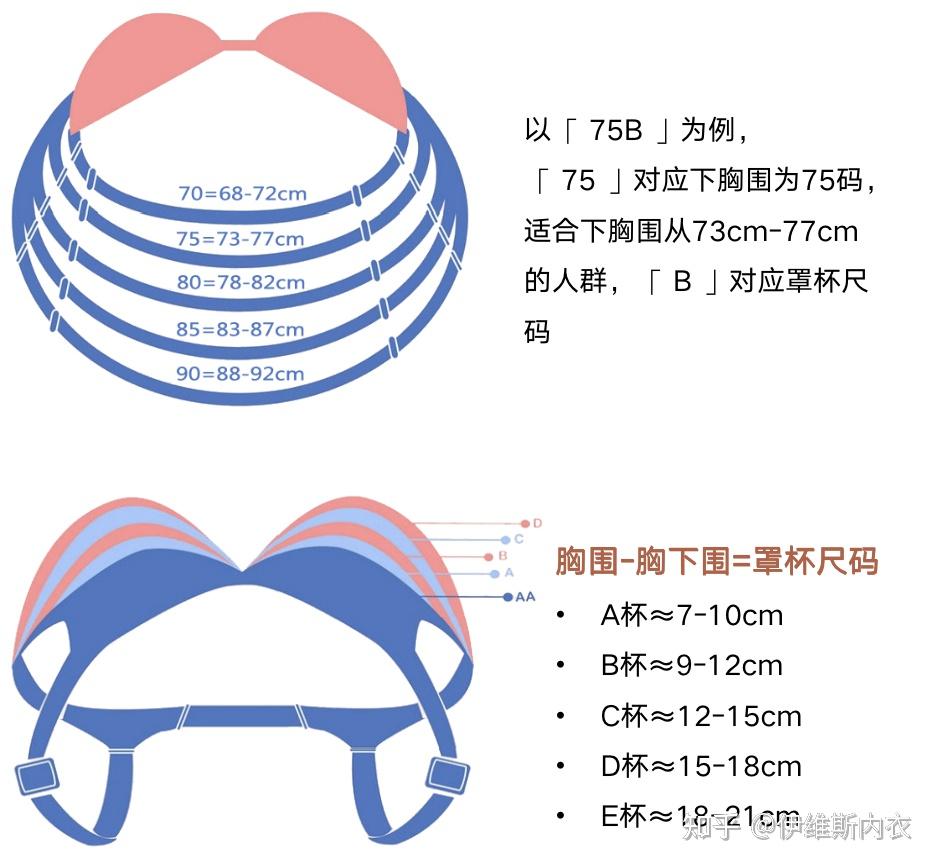 为什么bra总是不合身会往上跑? - 知乎