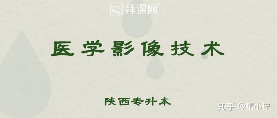 拜课网必刷题答案(拜课网必刷题答案高一)