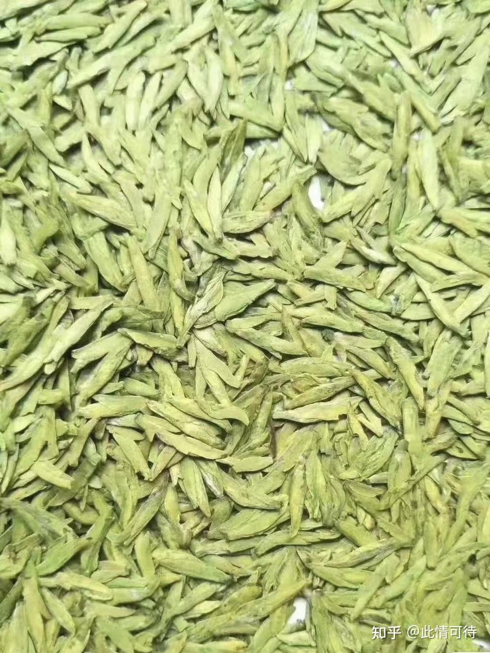 鸠坑龙井茶 - 知乎