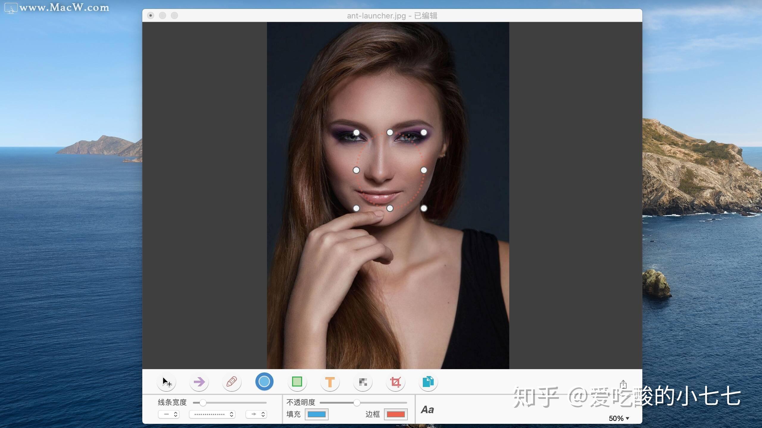 Snapshot Editor for Mac(小巧强大的屏幕截图工具) 知乎