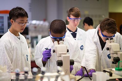 背景提升 | 哈佛大学心理学科研项目 - 知乎