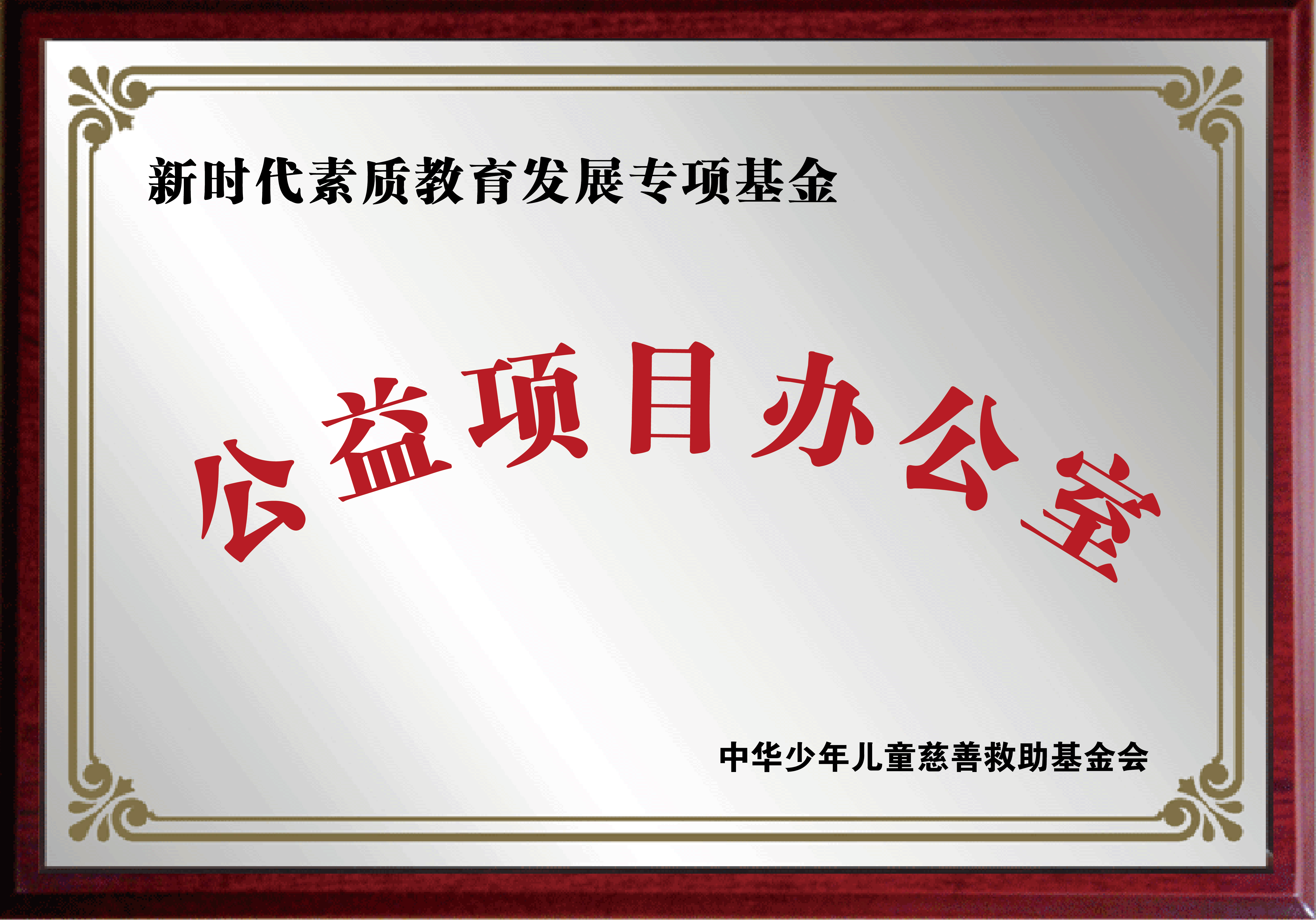 中华少年儿童慈善救助基金会新时代素质教育发展专项基金今年将在全国