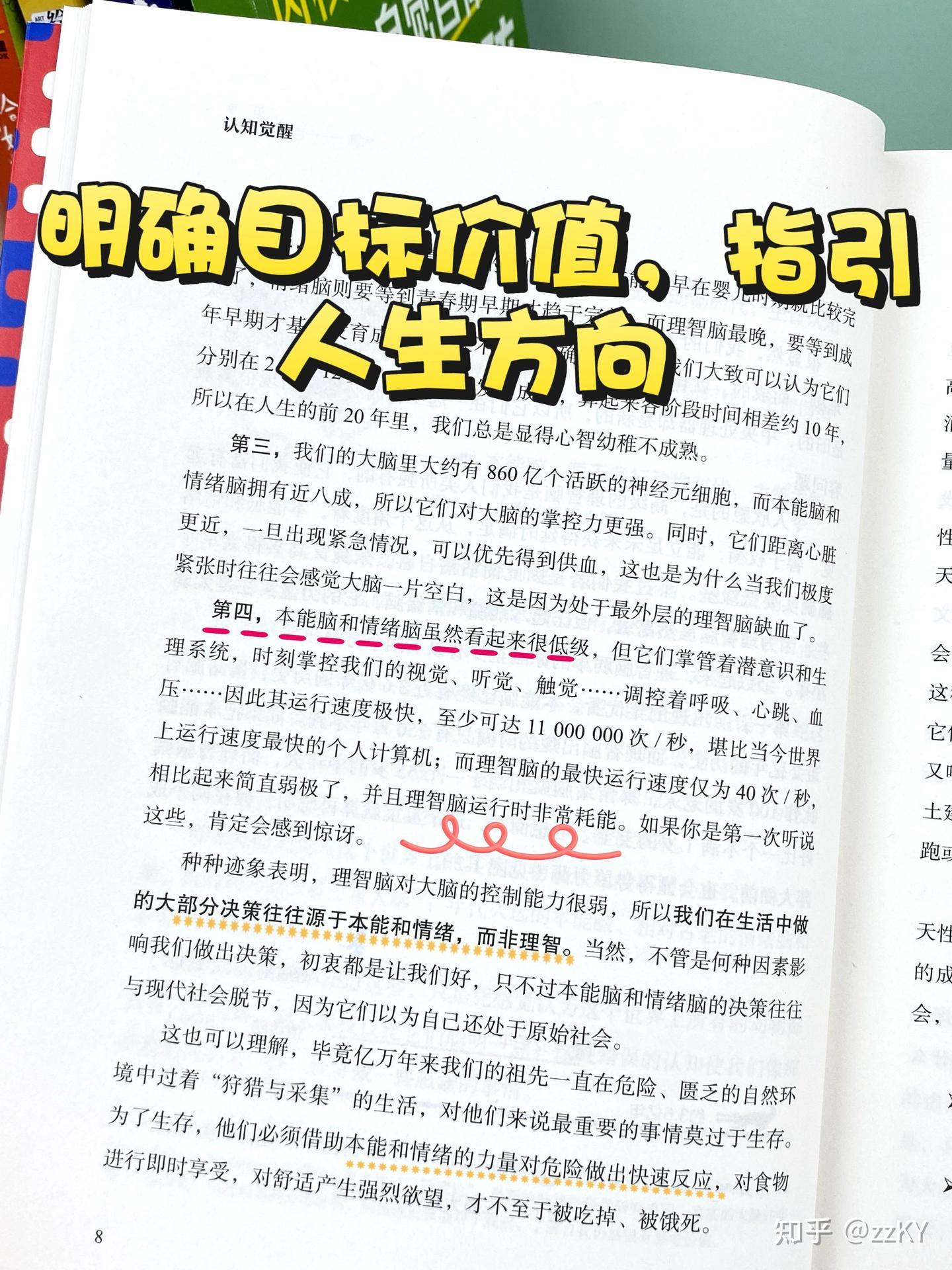 高低之分与权力之争-周龄认知觉醒 - 知乎