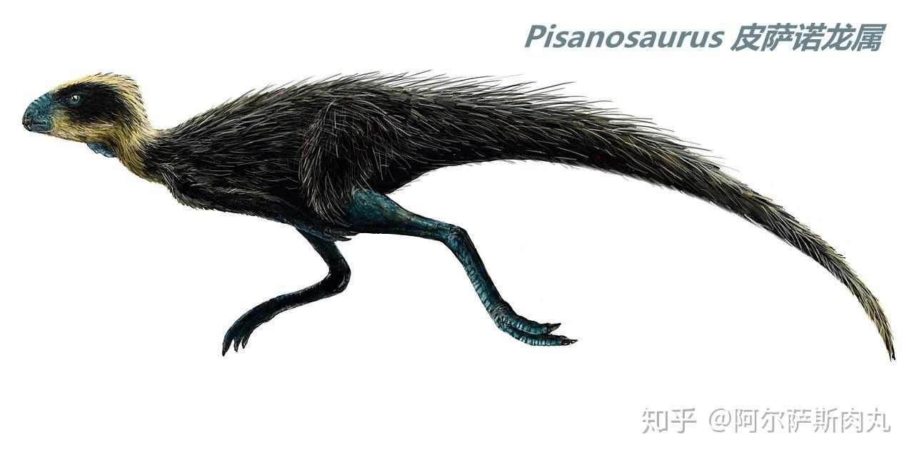 年中,包括恐龙在内的众多鸟颈类主龙逐渐在大型伪鳄类的强势阴影之