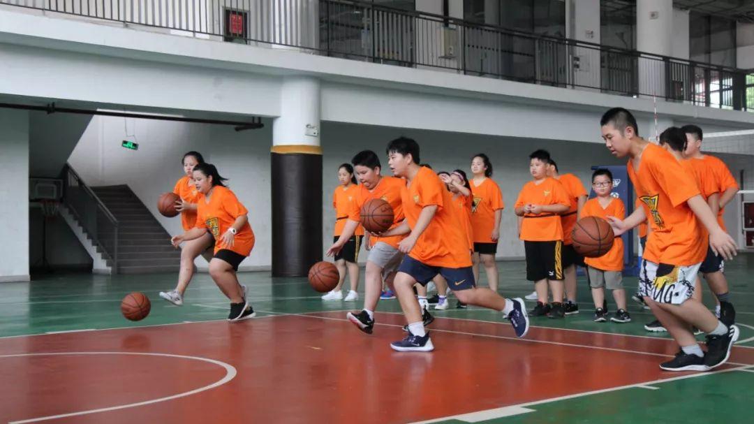 v2-a5e727919822a435d4ff0722dc0829b2_r.jpg
