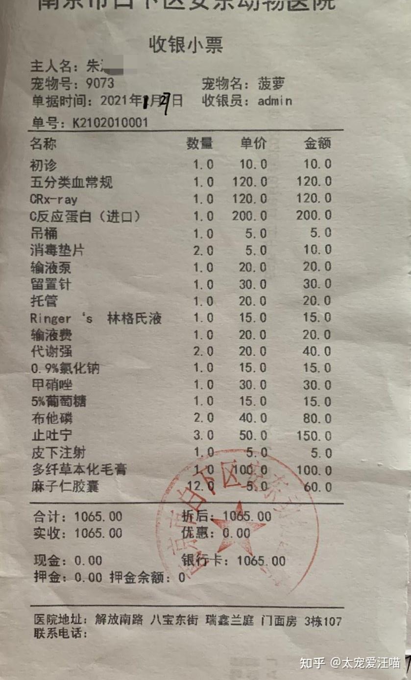 肠道异物阻塞丨太宠爱理赔案例南京安东动物医院