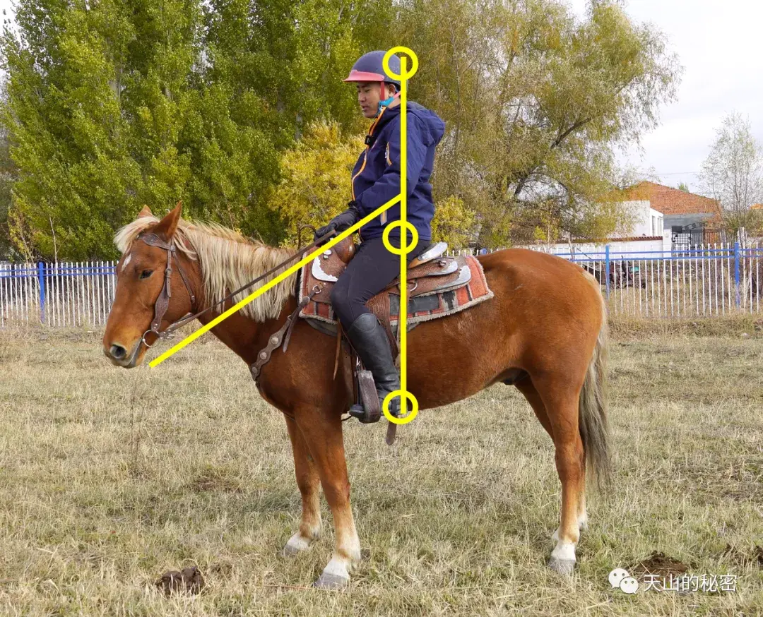 骑马正确的坐姿是怎样的