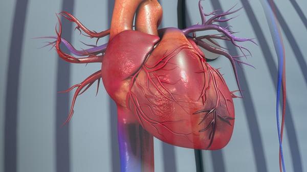 心肌梗死最常见的10个问题！心血管医生一次总结！值得收