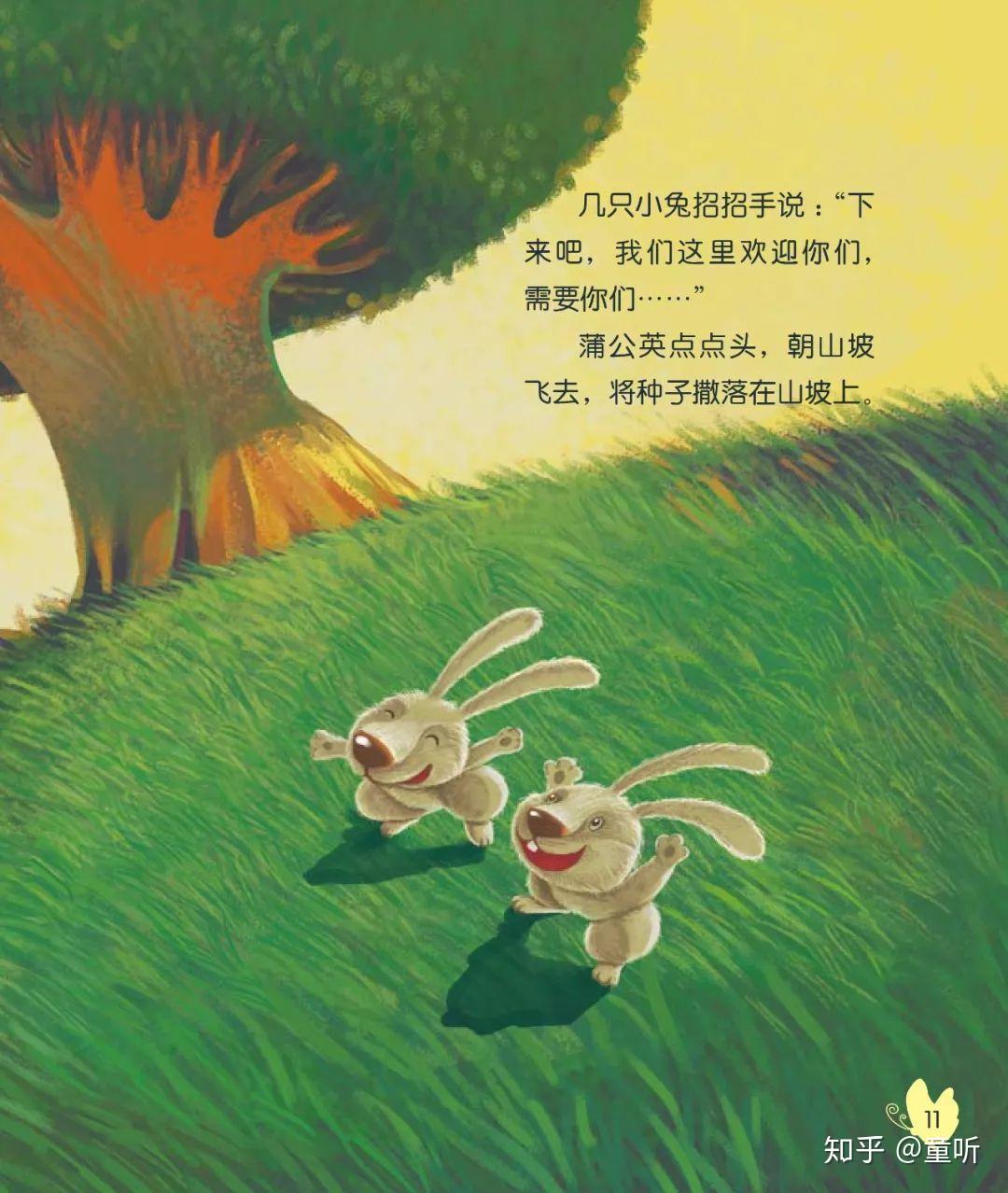 绘本故事蒲公英