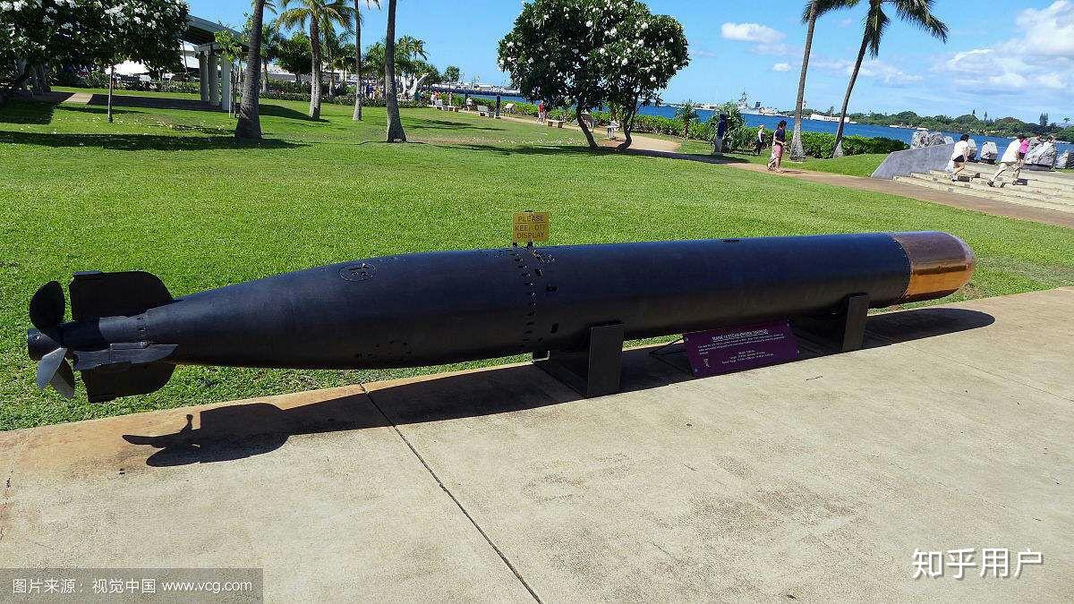 鱼雷被鱼吃了怎么办?鱼雷会规避生物吗?