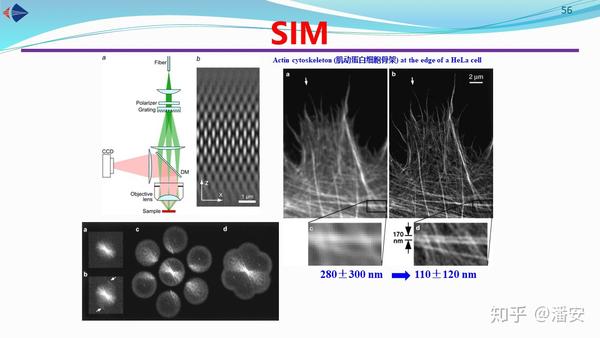 Pan Group生物光子学课程讲义(九):远场超分辨率显微术 - 知乎
