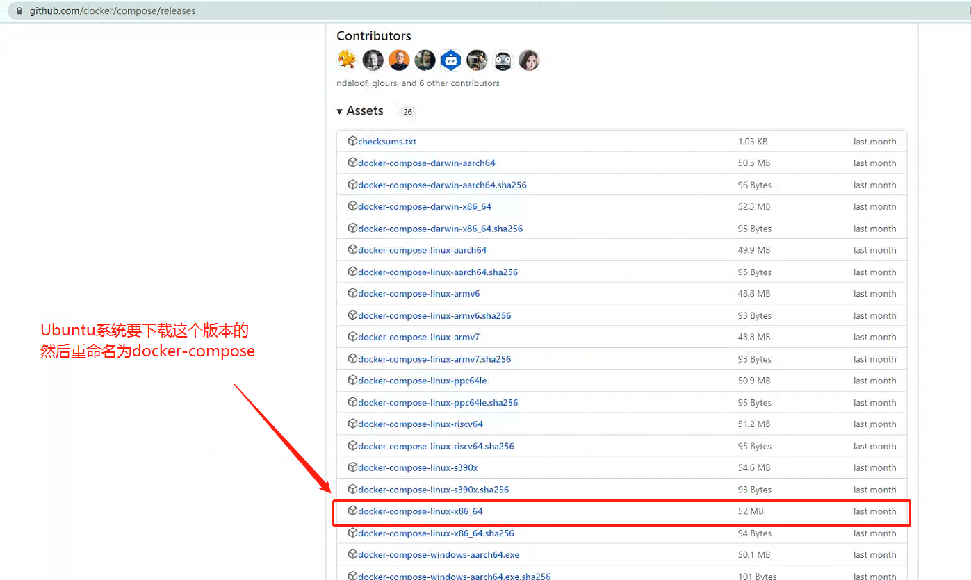 Docker docker compose 