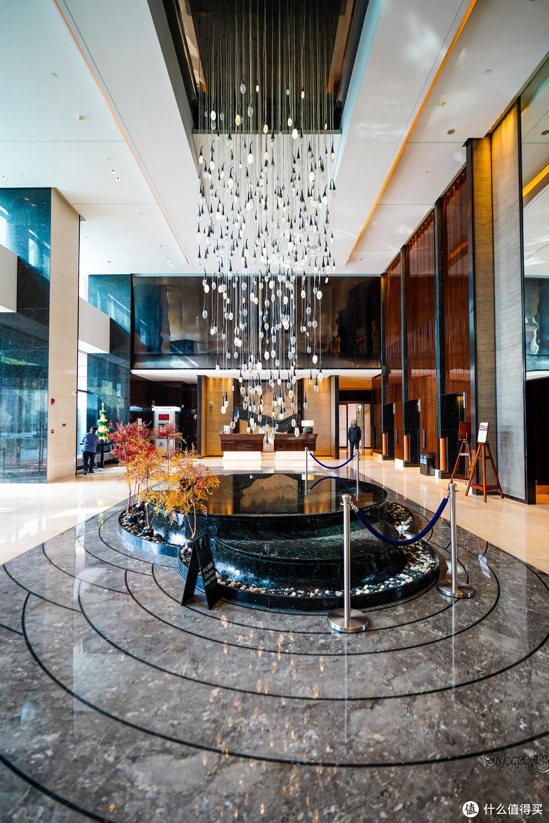 为了这只母老虎我放弃了4800块一晚的套房上海环球港凯悦酒店体验