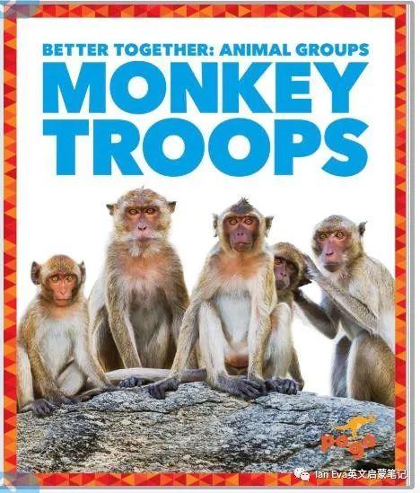 名词卡学习笔记——monkey - 知乎