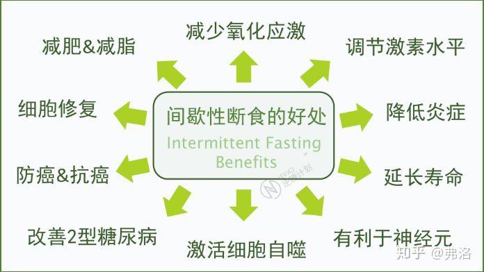 轻断食的好处有哪些?