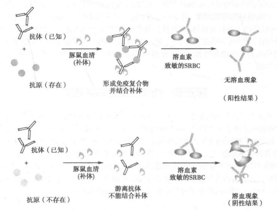 获得过诺贝尔奖的免疫学技术:补体结合试验和放射免疫分析