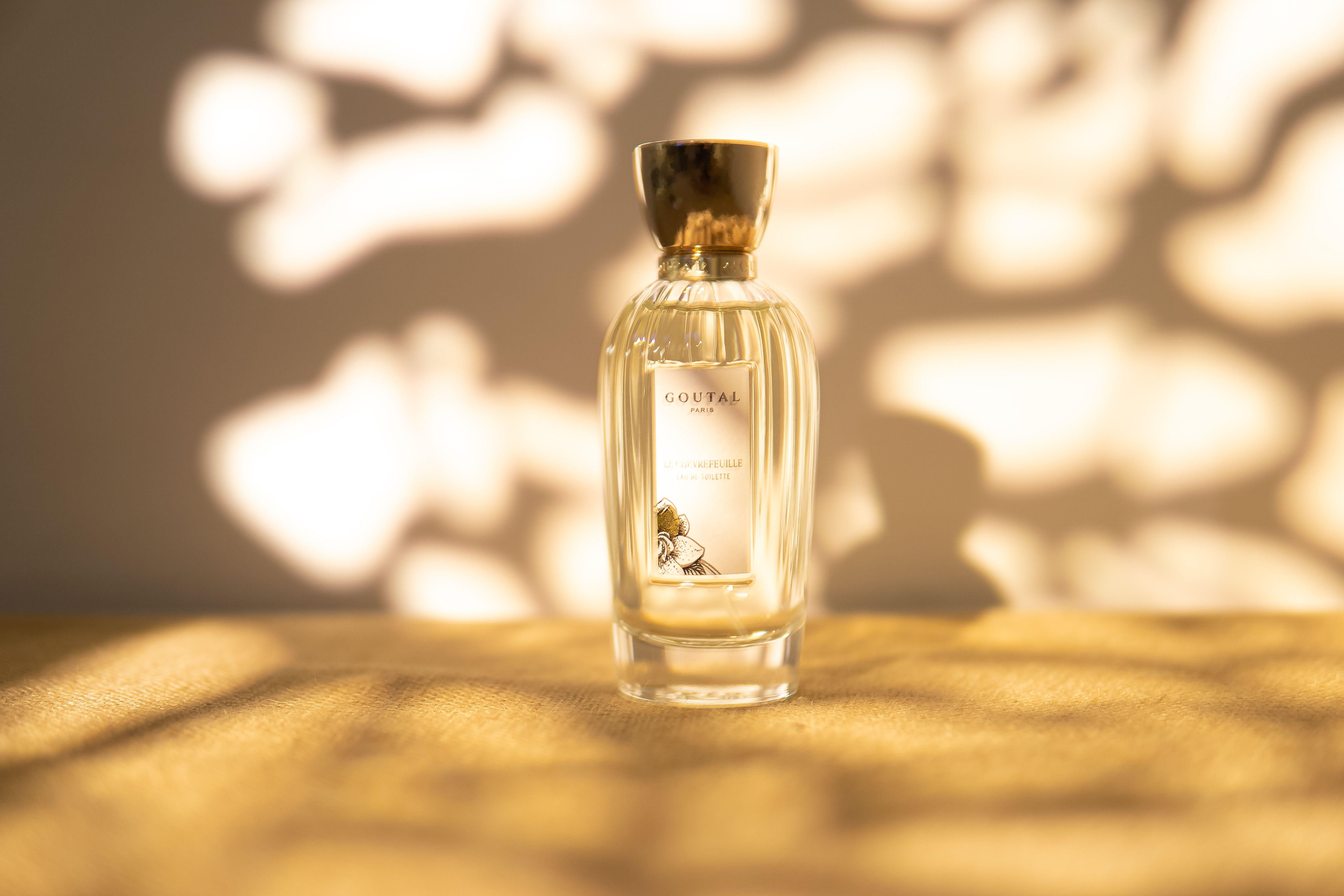 小家碧玉清纯的邻家少女古特尔忍冬