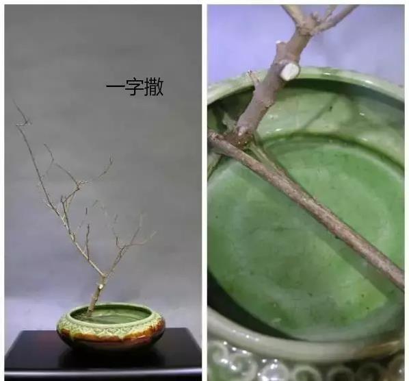 作为一名专业的花艺师,你应该必备哪些插花工具?